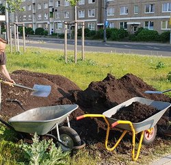 Gartenworkshop: Mutter Erde, Vater Boden