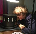 Kinderfilmworkshop - Wie die Bilder laufen lernen
