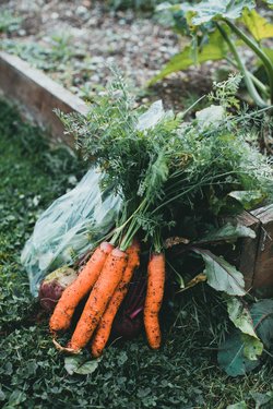 Gartenzeit: Permakultur 2 Gartenzeit: Permakultur 2 - Gartenzeit: Permakultur 2