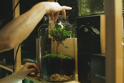 Kleine Welten im Glas - Kleine Welten im Glas