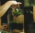 Kleine Welten im Glas Kleine Welten im Glas